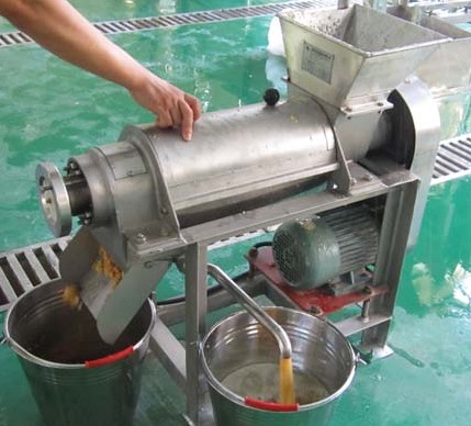 Stainless steel garlic/fruits screw juice press machine with crusher function