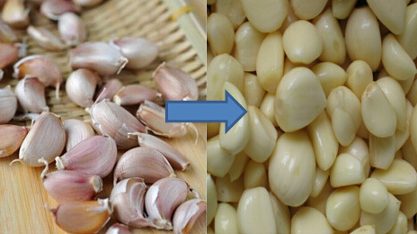 industrial High output garlic peeling machine / Garlic Peeler for sale