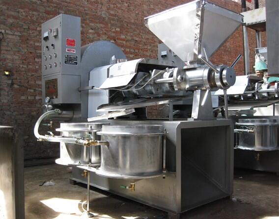 High effective sesame oil extraction machine/cold press oil press machine