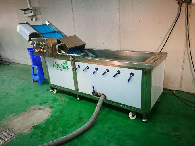 industrial automatic fruits and vegetables washing machine for high
