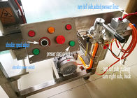 industrial stainless steel material cold juice presser machine for fruits and vegetables