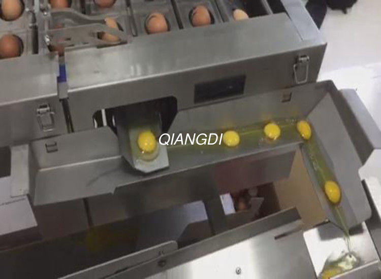 automatic food processing machine breaks eggshell and separates yolk from egg white