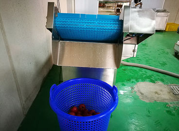 industrial automatic fruits and vegetables washing machine for high pressure air bubble with water circle device