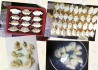 imitation manual china table type dumplings making machine semi-auto Pierogi Pelmeni wraping machine