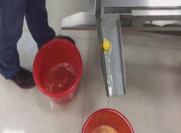 automatic food processing machine breaks eggshell and separates yolk from egg white