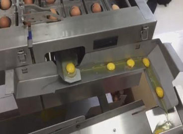 automatic food processing machine breaks eggshell and separates yolk from egg white